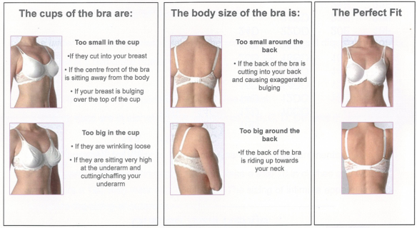 So THAT's How My Bra Should Fit